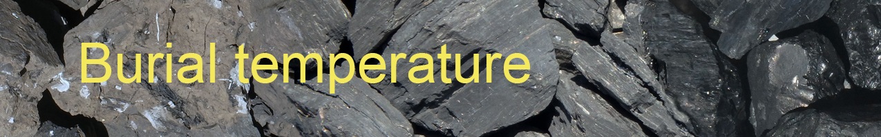 Burial temperatures from coal